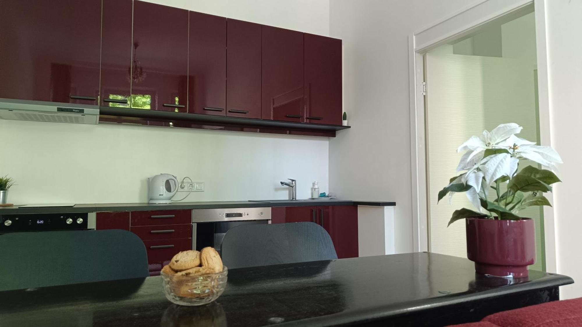 Julia Lacplesa Apartments Riga Extérieur photo